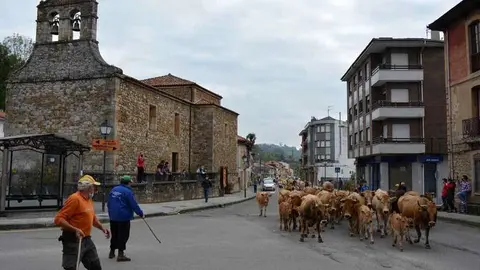 vacas-bimenes-penamayor-03