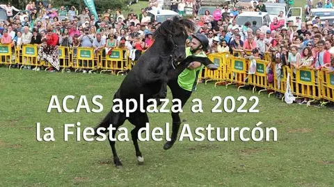 asturcon-suspendido-01