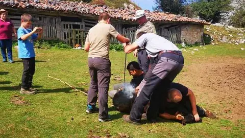 marcaje-acas-espineres-03