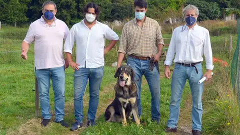 Ordenanza uso perros de trabajo en ganader&iacute;a, de carea y protecci&oacute;n ganado NP 6 SEPTIEMBRE 2021