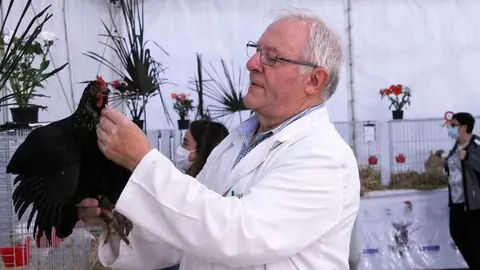 monografico-pita-infiest-08