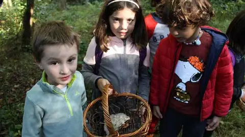 jornadas-micologicas-infiesto-29