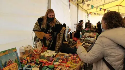 mercau-coya-otono-14