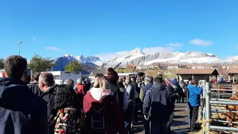 feria-riano-leon-2021-14