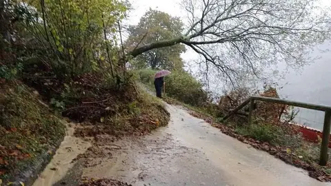 argayo-cementerio-ponga