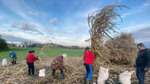 esbilla-maiz-porrua-08