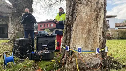 robles-san-antoniu-cangas-onis