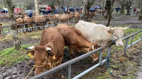 feria-marzo-corao-06