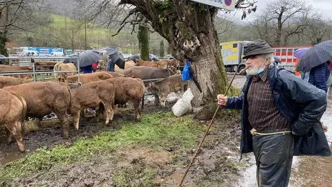 feria-marzo-corao-12