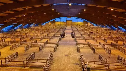 mercado-ganados-pola-siero-huelga-02