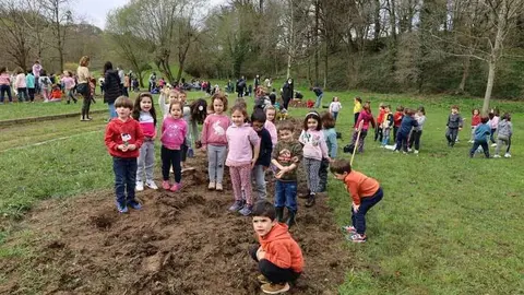 plantando-robles-pola-siero-11