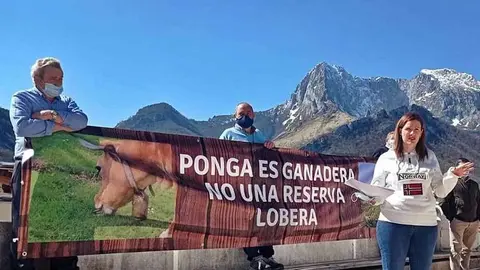 protesta-lobo-ponga
