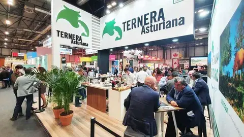 ternera-asturiana-cachopo-salon-gourmets