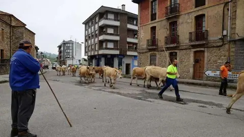 trashumancia-bimenes-12