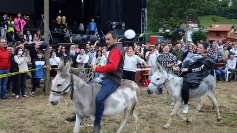 carrera-burros-collao-03