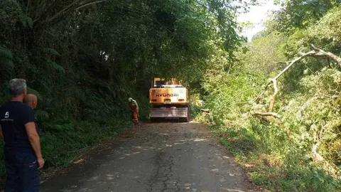 carretera-gamoneu-corte-02