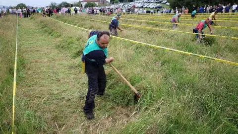 siega-santa-marina-10