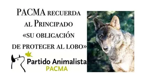 pacma-lobo-asturias
