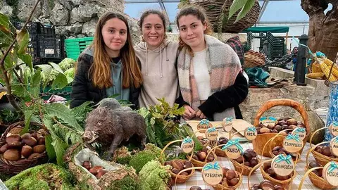 castana-arriondas-2022-29