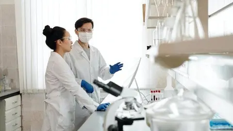 setas-para-la-memoria