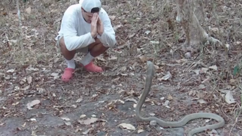 Frank_Cuesta_yosoyplex-plex-yo-soy