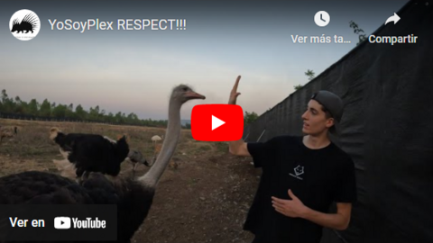 yosoyplex en tailandia