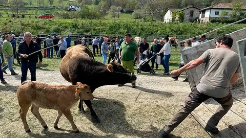 feria-sevares-2023-07