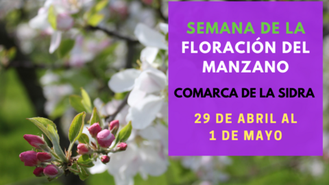 Semana de la Floraci&oacute;n del Manzano | Comarca de la Sidra