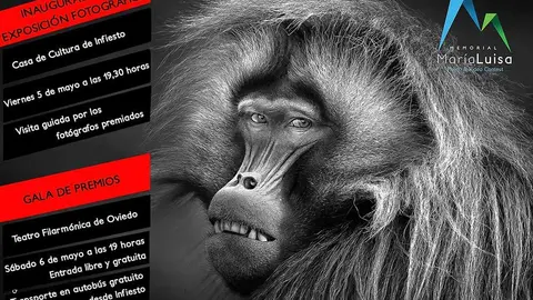 cartel-premios-memorial-maria-luisa