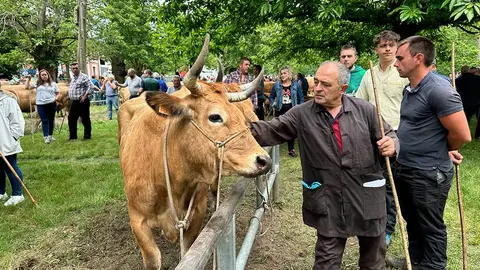 feriona-corao-2023-02