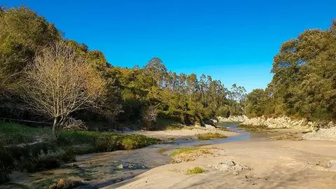 playa fluvial de guadamia