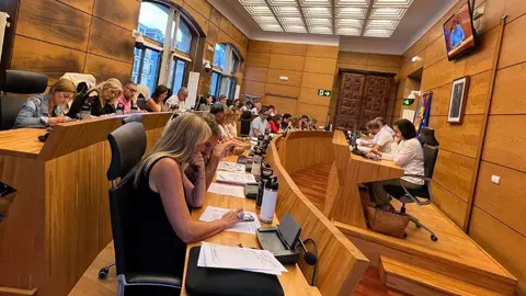 pleno-extraordinario-siero