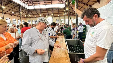 fiesta-sidra-villaviciosa-2023-04