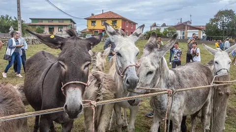 feria-argueru-2023-fielato-6