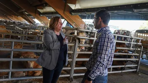 2023 09 25 mercado de ganados 2