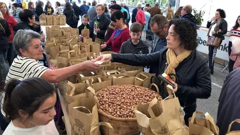 festival-avellana-pilona