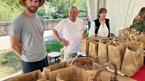 david-curtis-avellanas-infiesto-01