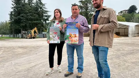 ferias-santa-teresa-infiesto