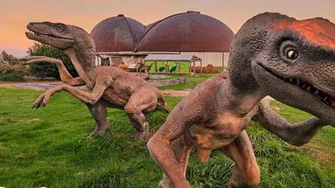 muja-talleres-fosiles