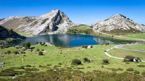 mejoras-acceso-lagos-covadonga