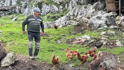 antonin-humartini-pastor