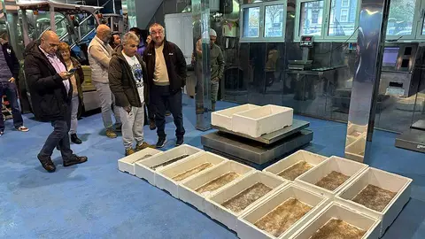 angula-ribadesella-2023