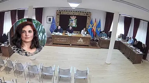 pleno-parres-mili-maza