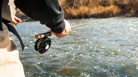 anulacion-normativa-pesca-esmerillon