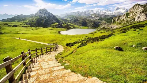 plan-transporte-lagos-covadonga