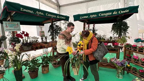 feria-invierno-cangas-onis-15