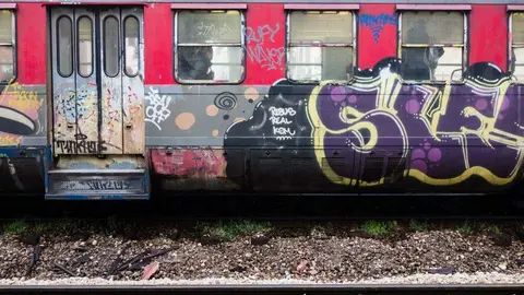 pintadas-tren-llanes