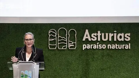 viceconsejera-turismo-fitur