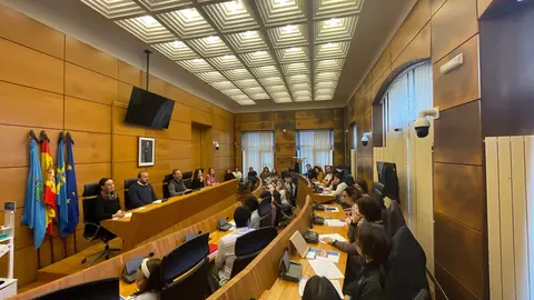 Un momento de la sesi&oacute;n del consejo de infancia y adolescencia