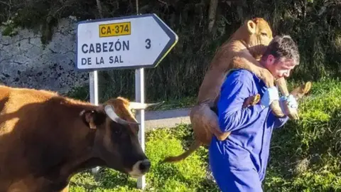 ganadero-porteando-ternero-viral